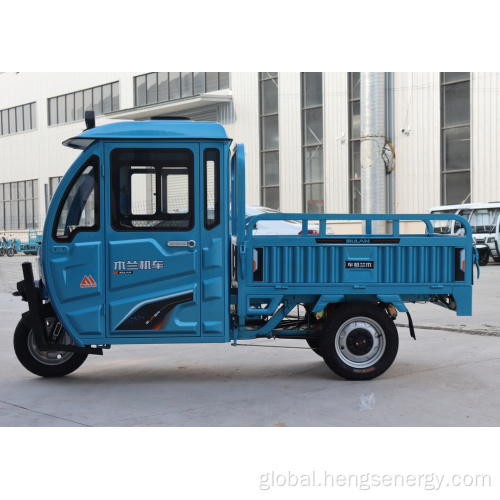 1000W Electric Tricycle Cargo Electric Adult